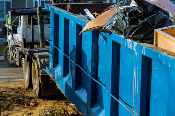 Best Carpet Removal and Disposal  in Mountain City, GA