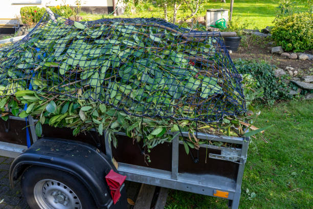 Best Moving and Downsizing Cleanouts  in Mountain City, GA